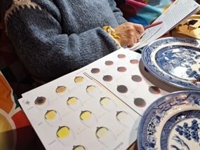 Customer Photo of VineSine Wine Tasting Kits